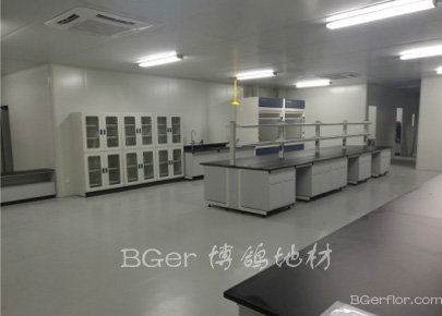 科研實(shí)驗(yàn)室高分子地板-2